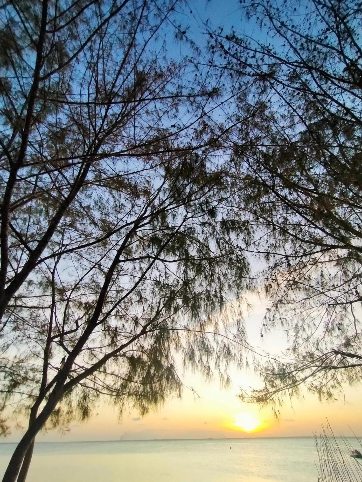 Eden Paradise Michamvi Kae Luaran gambar